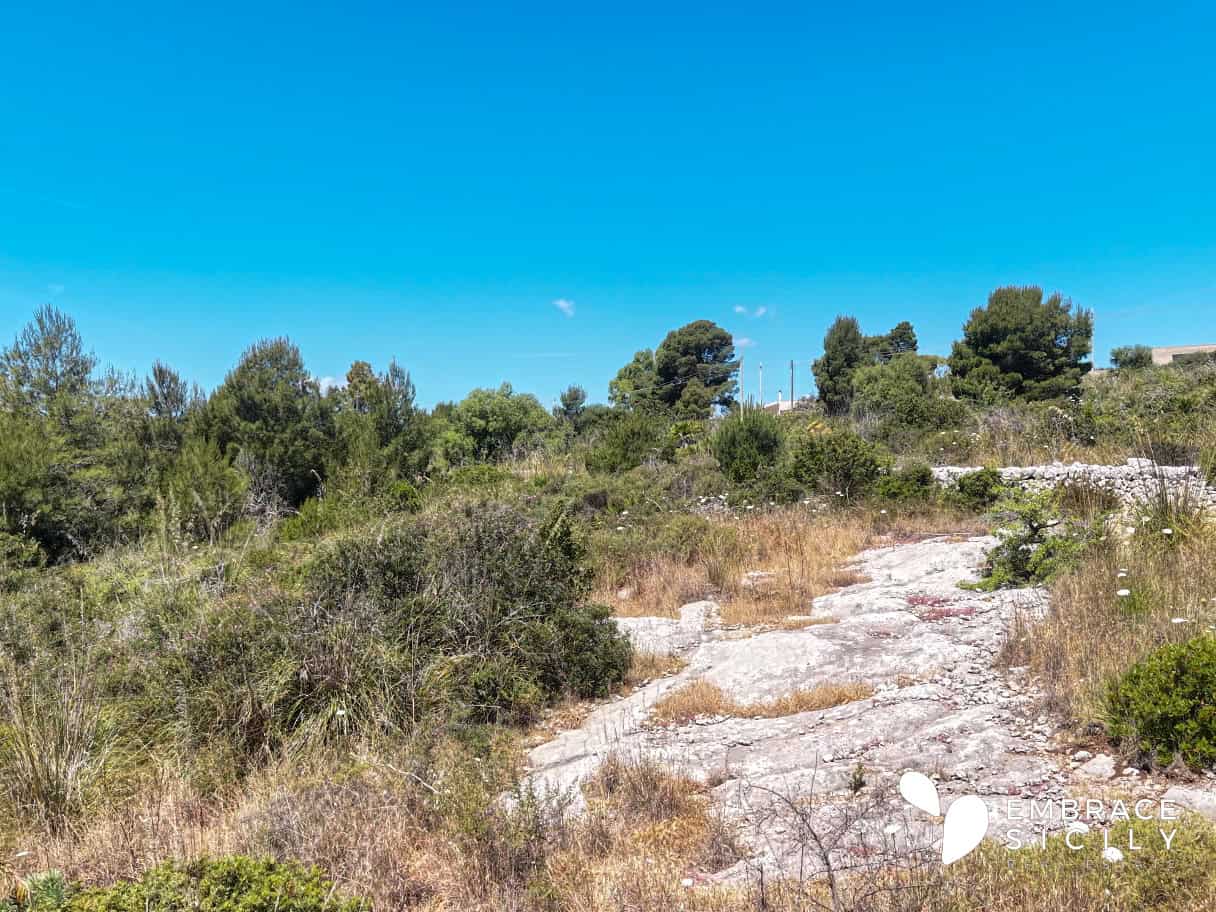 Sentiero roccioso tra la vegetazione mediterranea in Sicilia sotto un cielo azzurro.