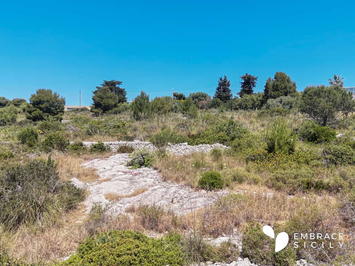 Paesaggio naturale siciliano con sentiero e vegetazione, cielo azzurro e alberi tipici della Sicilia.