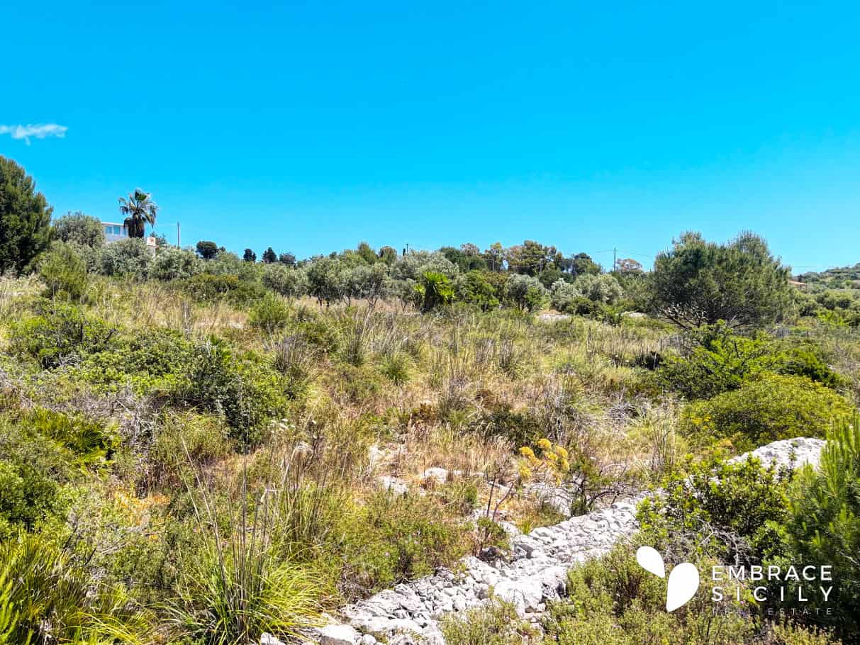 Paesaggio naturale siciliano con vegetazione rigogliosa e cielo azzurro, ideale per escursioni e tur.