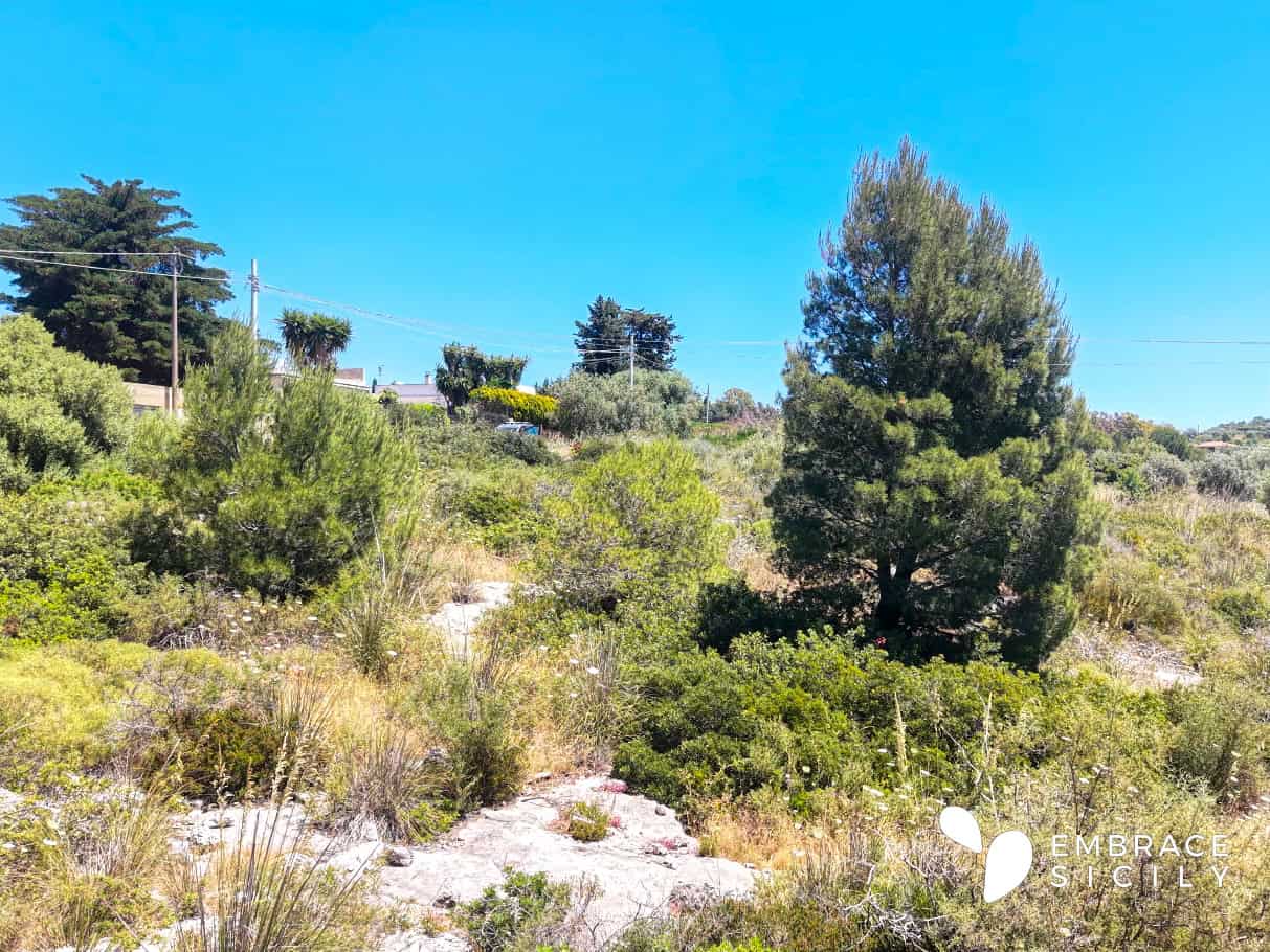 Paesaggio naturale siciliano con pini e arbusti sotto un cielo sereno, ideale per escursioni e turis.