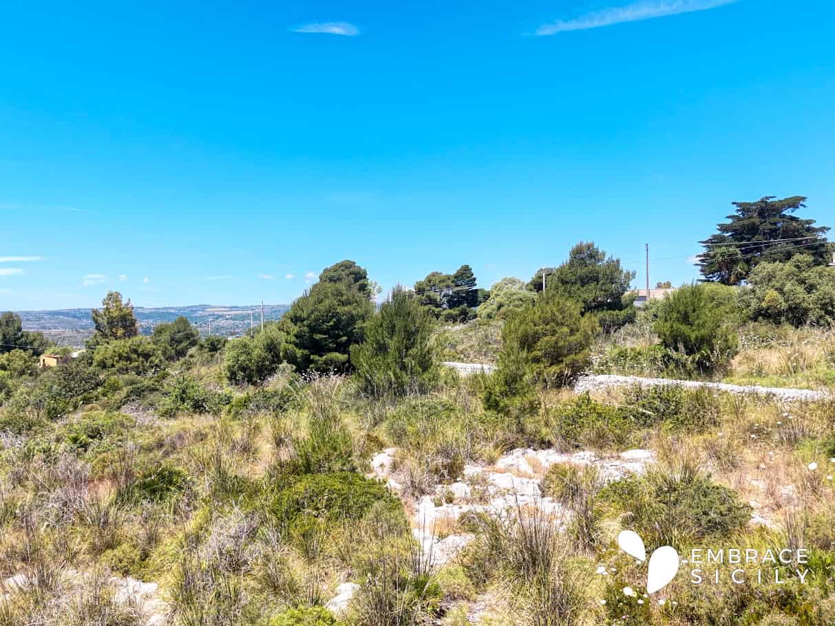 Paesaggio naturale siciliano con vegetazione e cielo azzurro, ideale per turismo e natura in Sicilia.